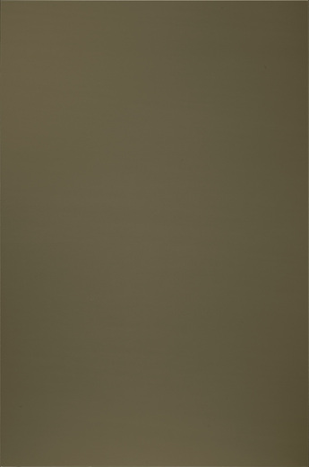neo PURE - 861 Metall Bronze.jpg